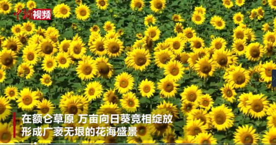 ɹŶزԭĶտʢ续