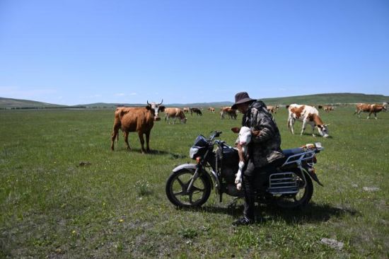 ������ح�й�ɳĮ�������飬��������繲����